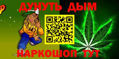 стаф Кингисепп