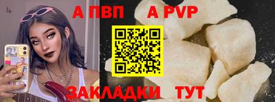 стаф Кингисепп